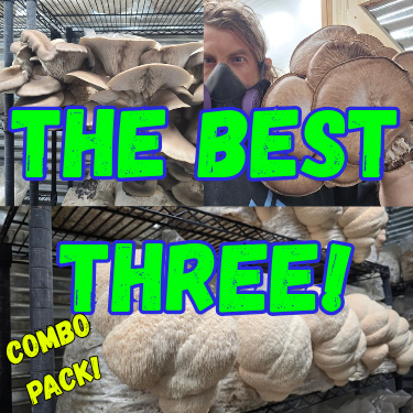The BEST Three! COMBO Pack!