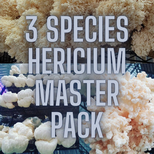 3 Species Hericium Master Pack