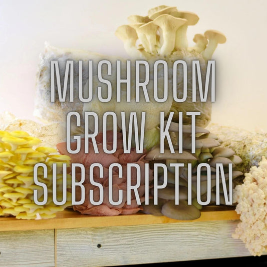 Mushroom Grow Kit Subscription