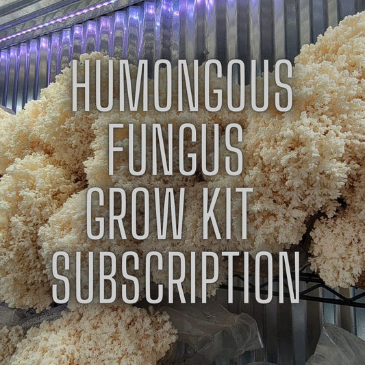 Humongous Fungus Grow Kit Subscription